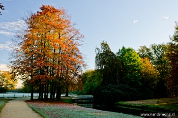 Herfst (2012)