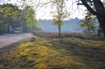 Lente (2011)