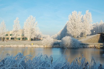 Winter (2007)