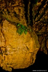 d7k_3301.jpg