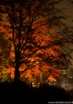 d7k_7624.jpg