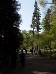 p1000008.jpg