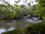 p1000010.jpg