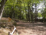 p1000013.jpg