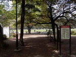 p1000014.jpg