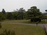 p1000073.jpg