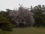 p1000075.jpg