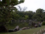 p1000077.jpg