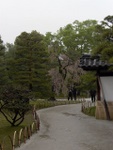 p1000081.jpg