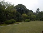 p1000087.jpg