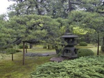 p1000089.jpg