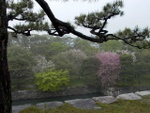 p1000090.jpg