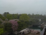 p1000091.jpg