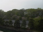 p1000092.jpg