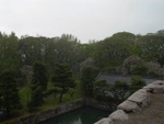 p1000094.jpg