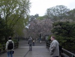 p1000097.jpg