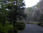 p1000098.jpg