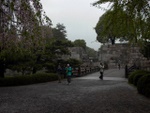 p1000099.jpg
