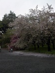 p1000102.jpg