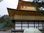 p1000105.jpg