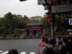 p1000115.jpg