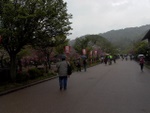 p1000126.jpg