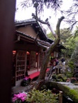 p1000135.jpg