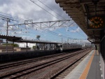 p1000150.jpg