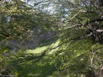 p1000154.jpg