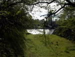 p1000155.jpg