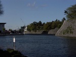p1000156.jpg