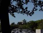 p1000158.jpg