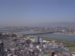 p1000180.jpg