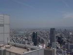 p1000196.jpg