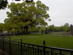 p1000209.jpg