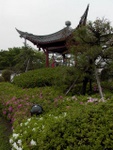 p1000229.jpg