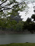 p1000231.jpg