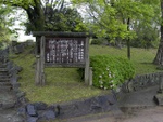 p1000235.jpg