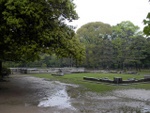 p1000236.jpg