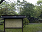 p1000237.jpg