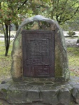 p1000240.jpg