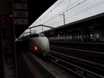 p1000248.jpg