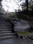 p1000249.jpg