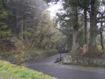 p1000250.jpg