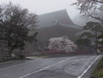 p1000252.jpg