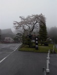 p1000253.jpg