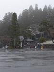 p1000254.jpg