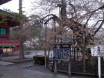 p1000259.jpg