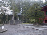 p1000260.jpg