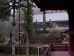 p1000261.jpg